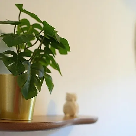 Appartamento Cosy Et Design Entre Partdieu Et Charpennes Lione